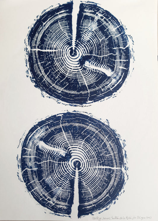 gravure d’anneaux d'arbres, impression faites à la main, art mural,  création unique, art unique, woodcut print, tree ring print, wood engraving unique