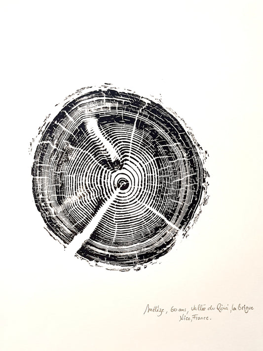 gravure d’anneaux d'arbres, impression faites à la main, art mural,  création unique, art unique, woodcut print, tree ring print, wood engraving unique